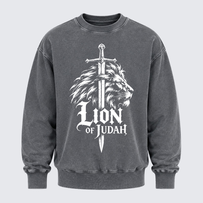 Washed Sweatshirt - Lion of Judah - Grey (front)