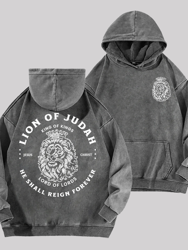 Lion Of Judah Jesus God Christian Washed Hoodie