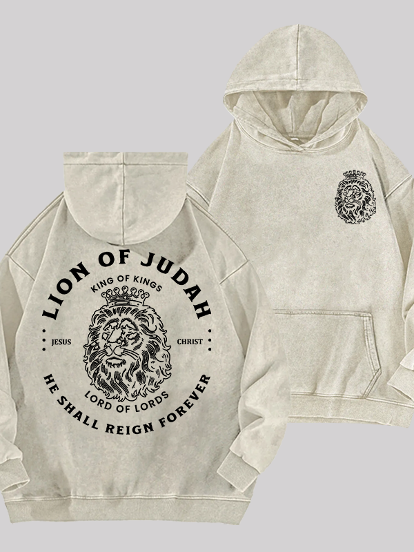 Lion Of Judah Jesus God Christian Washed Hoodie
