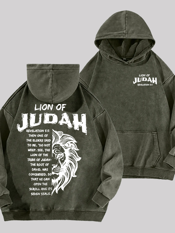 Lion Of Judan Jesus God Christian Washed Hoodie