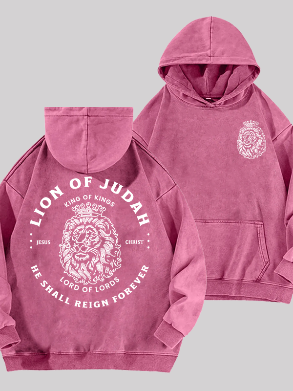 Lion Of Judah Jesus God Christian Washed Hoodie
