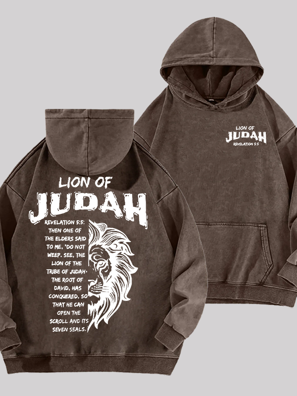 Lion Of Judan Jesus God Christian Washed Hoodie