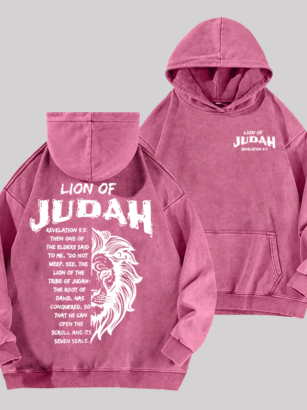 Lion Of Judan Jesus God Christian Washed Hoodie