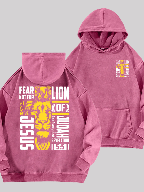 Lion Of Judah Jesus God Christian Washed Hoodie