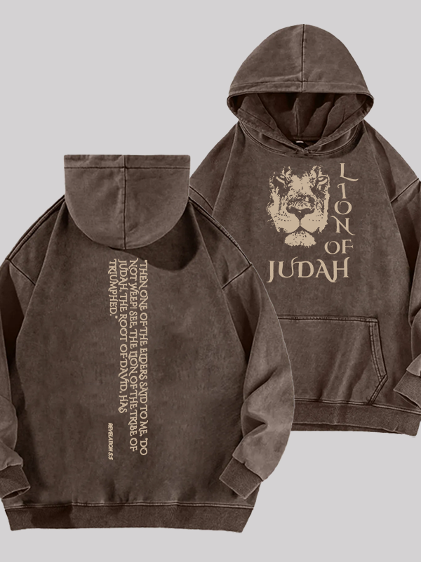 Lion Of Judan Jesus God Christian Washed Hoodie