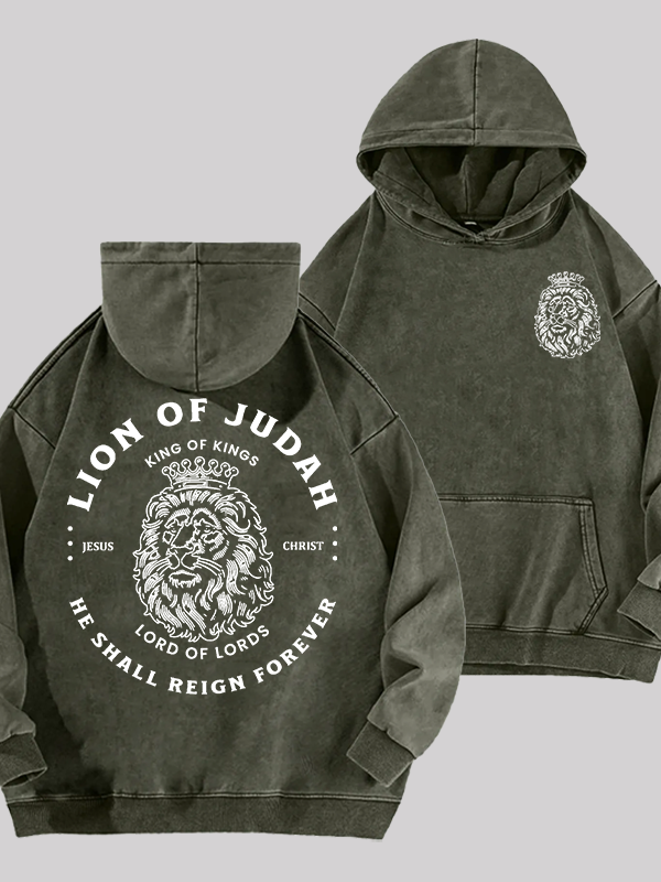 Lion Of Judah Jesus God Christian Washed Hoodie