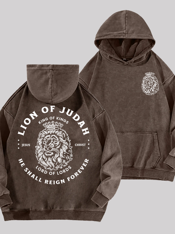 Lion Of Judah Jesus God Christian Washed Hoodie