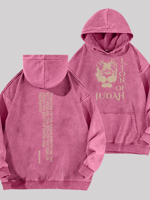 Lion Of Judan Jesus God Christian Washed Hoodie
