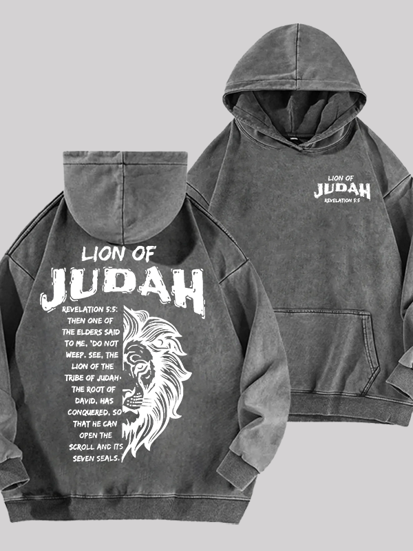 Lion Of Judan Jesus God Christian Washed Hoodie