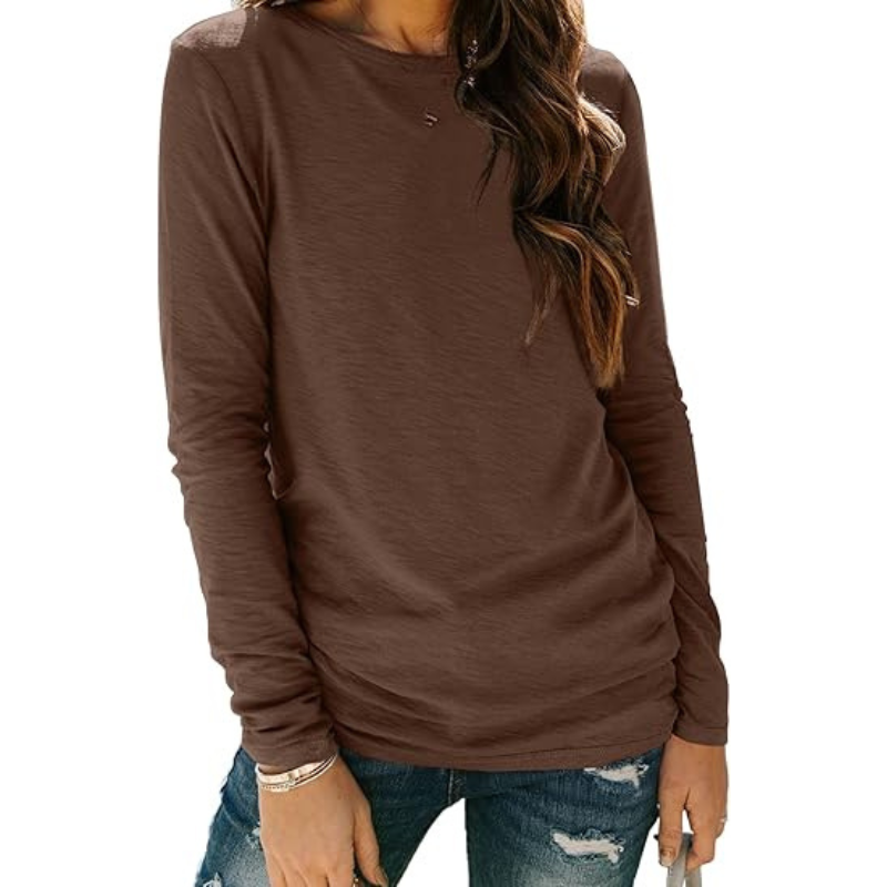 Women’s Plus Size Long Sleeve Crewneck Casual Basic Fall Spring Top