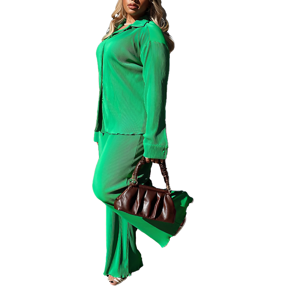 2 Piece Button Down Shirt And Pleated Pants Set For Women