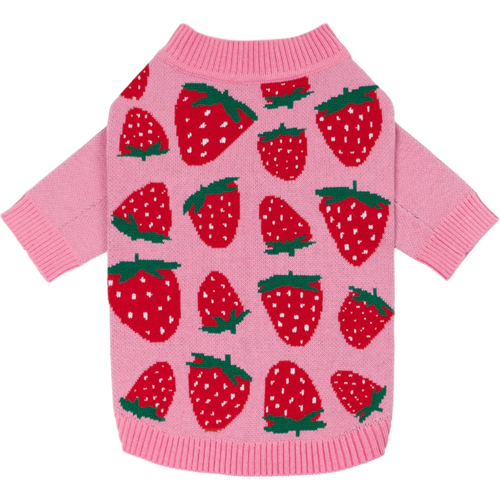 Valentines Dog Sweater Warm Winter Outfit