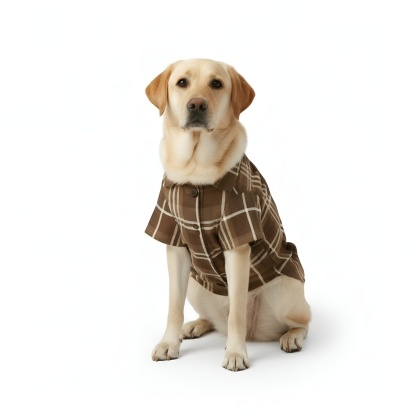 Baby Reindeer Printed Plaid Family Matching Christmas Pajama Set