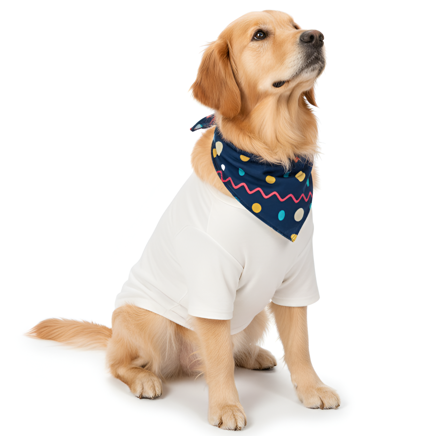 Christmas Family Matching Pajama Sets with Festive Print