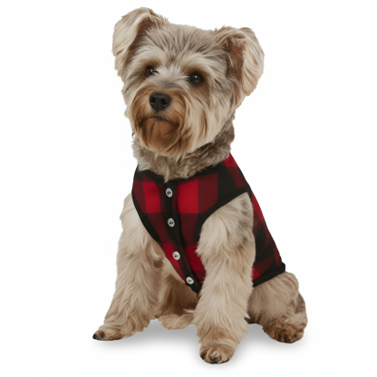 Christmas Gnome Graphic Family Matching Pajama Sets