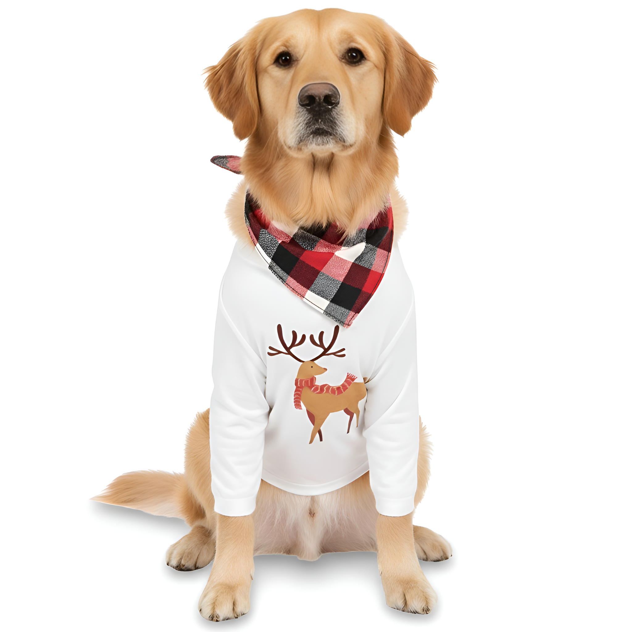 Classic Reindeer Plaid Family Christmas Pajama Set