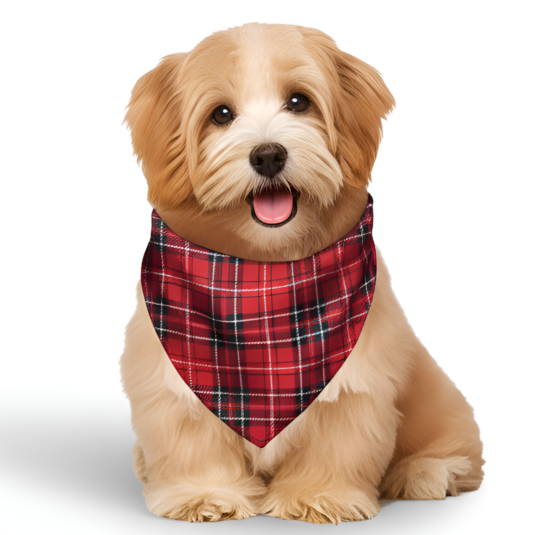 Family Christmas Santa and Reindeer Design Matching Pajama Sets
