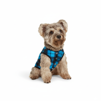 Festive Christmas All Over Print Matching Family Sleepwear Set