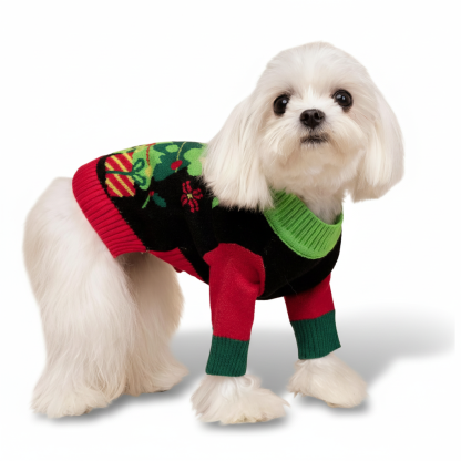 Valentines Dog Sweater Warm Winter Outfit