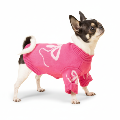 Valentines Dog Sweater Warm Winter Outfit