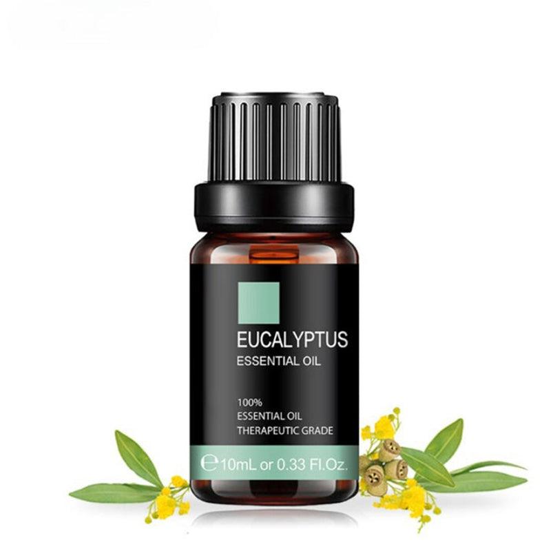 10ml Eucalyptus Natural Essential Oils Refreshing Calming-Humiii