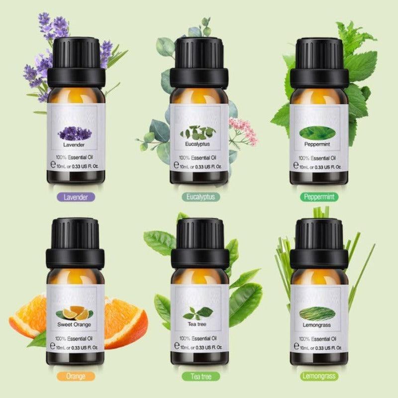 10ml Essential Oils Gift Set of 6 Pieces Premium Quality Oils-Humiii