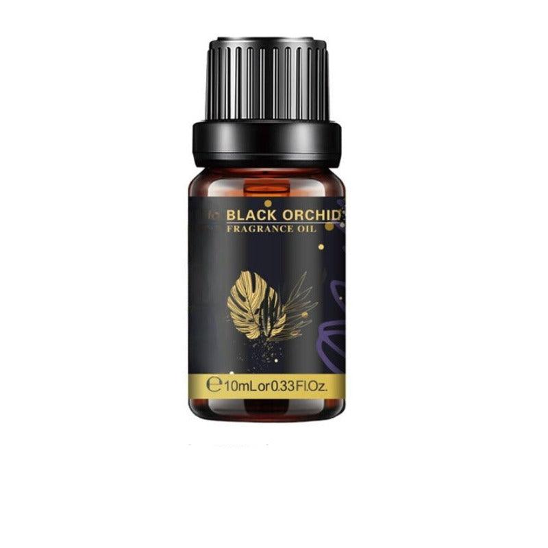 Sea Breeze Essential Oil Humidifier For Everyday Use-Humiii