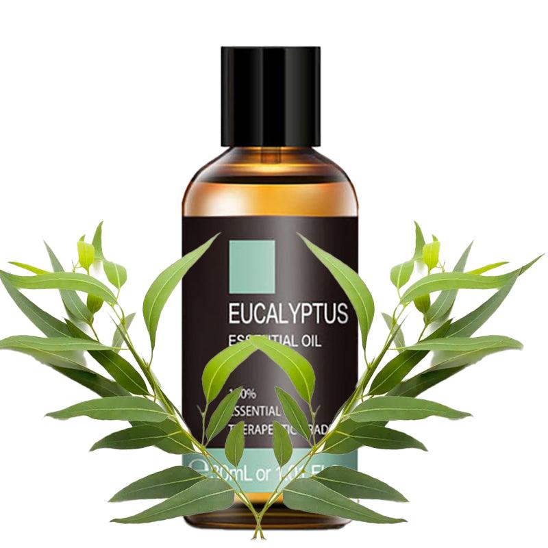 30mL Eucalyptus Essential Oil-Humiii