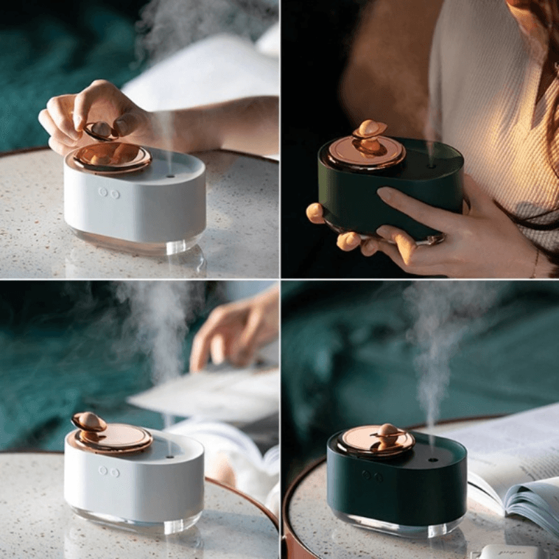 Rotating Plane Wireless Air Humidifier 300ml Aroma Diffuser-Humiii