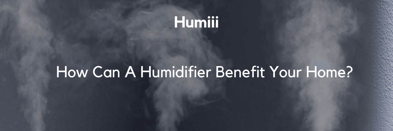 How Can A Humidifier Benefit Your Home!-Humiii