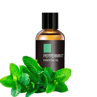 100ml Natural Peppermint Essential Oil Pure Energizing-Humiii