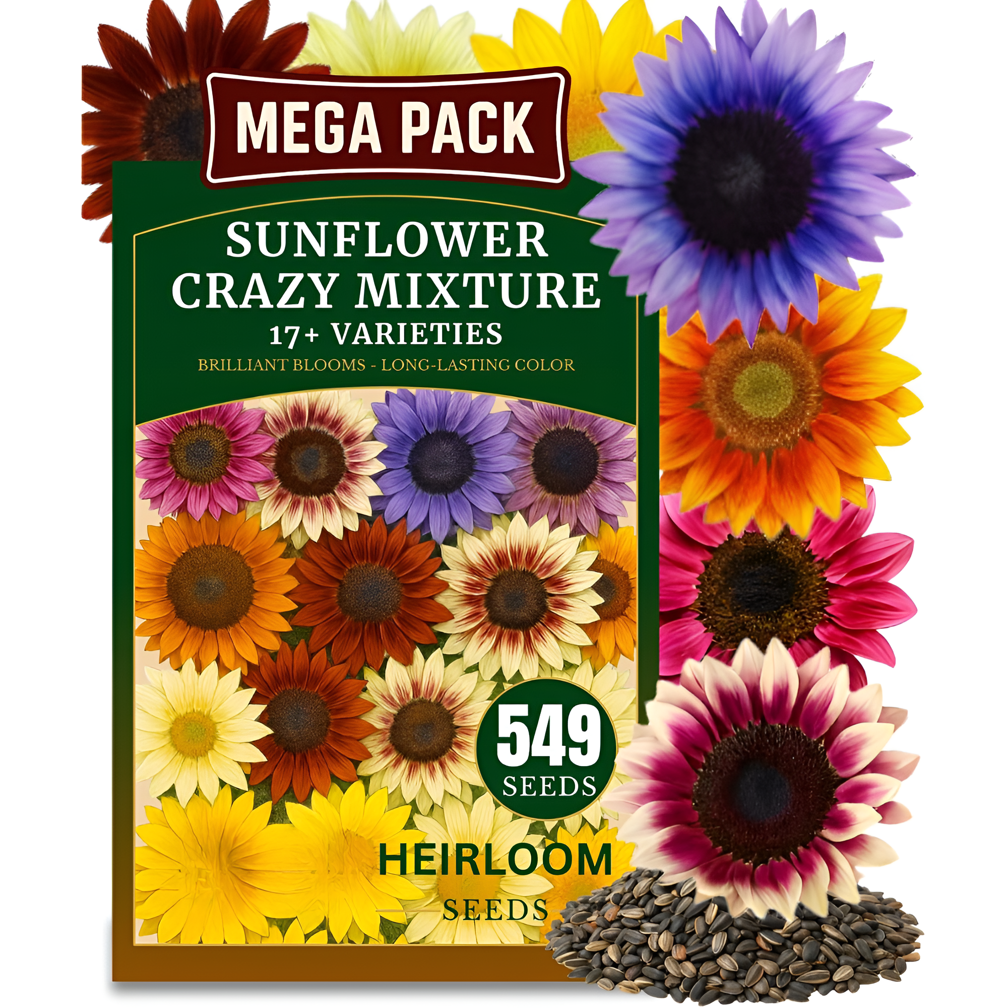 15 Pieces Of Lotus Seeds For Outdoor Planting