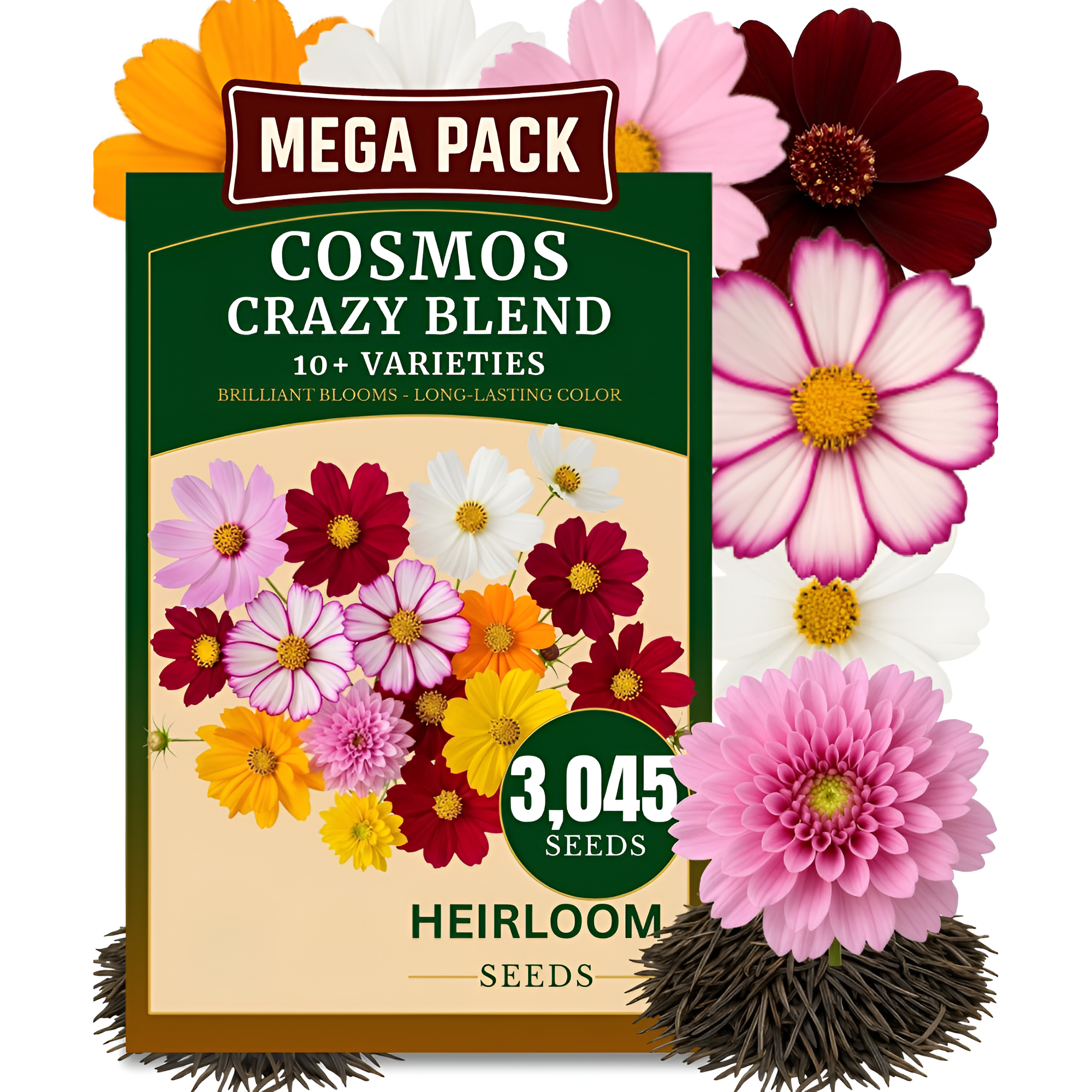 15 Pieces Of Lotus Seeds For Outdoor Planting