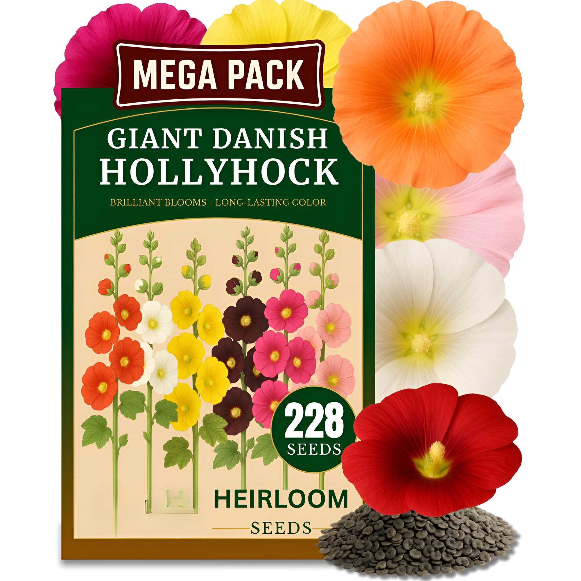 15 Pieces Of Lotus Seeds For Outdoor Planting