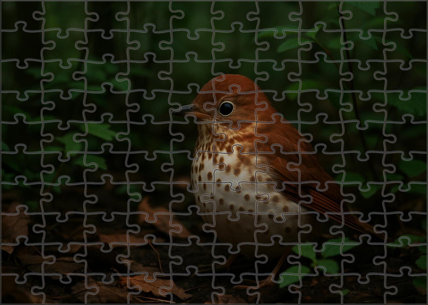 Veery Forests Melodic Wanderer Large Format Puzzle