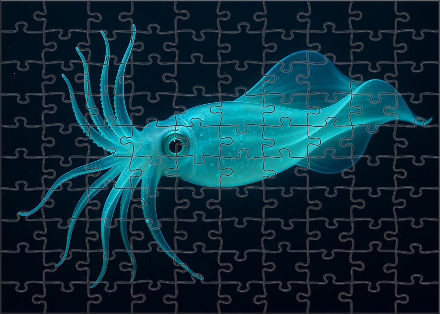 Opaline Ribbon Squid Sleek Cephalopod With Flowing Bioluminescent Stripes 300 Piece Puzzle