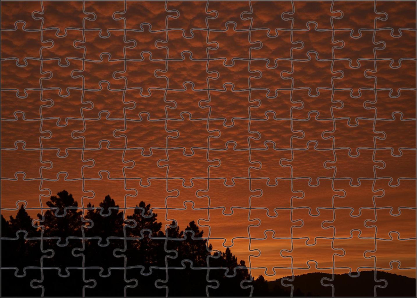 Copper Gleam Canopy Puzzle For Adults