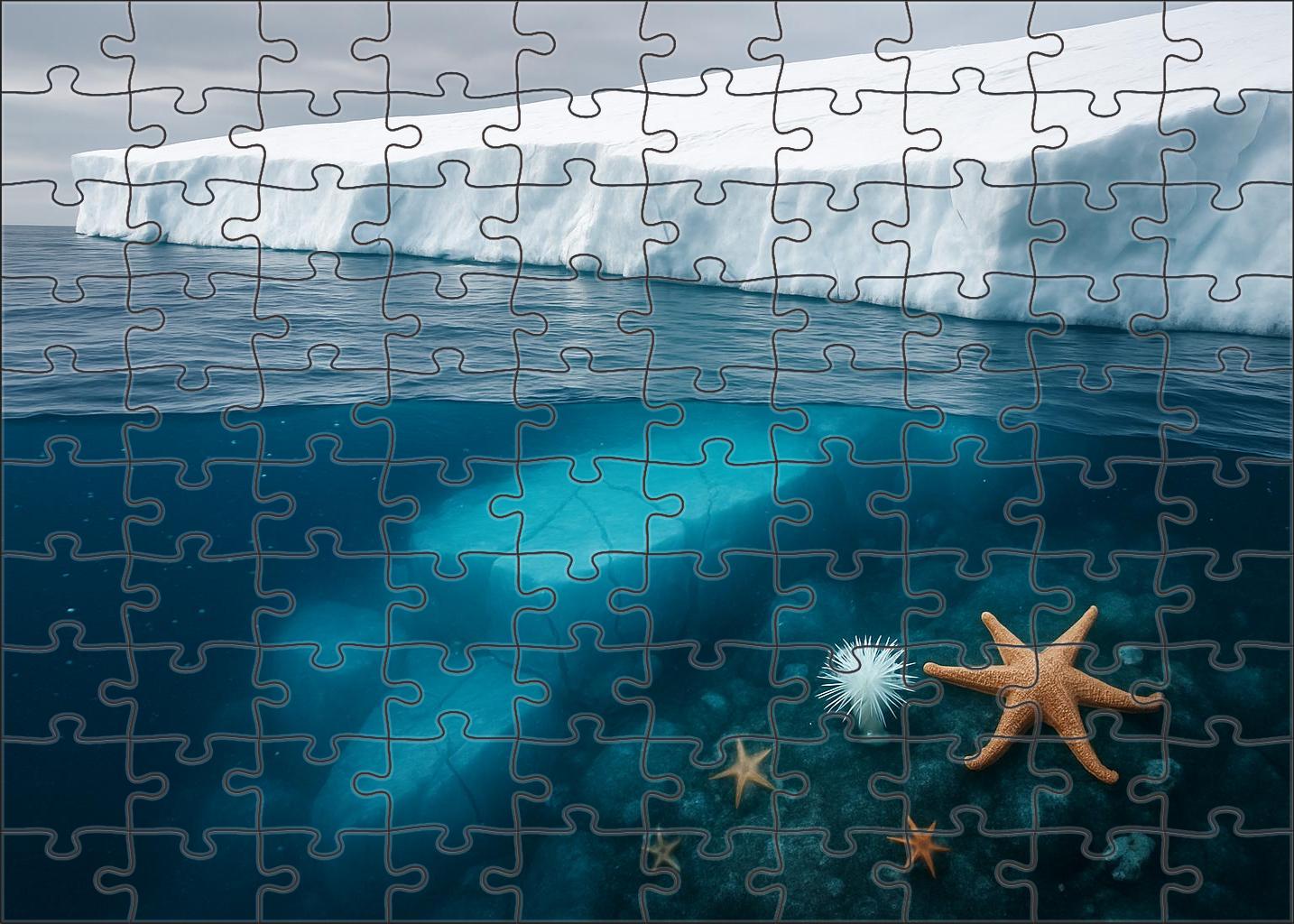 Frosted Ice Shelf Edge Puzzle Challenge