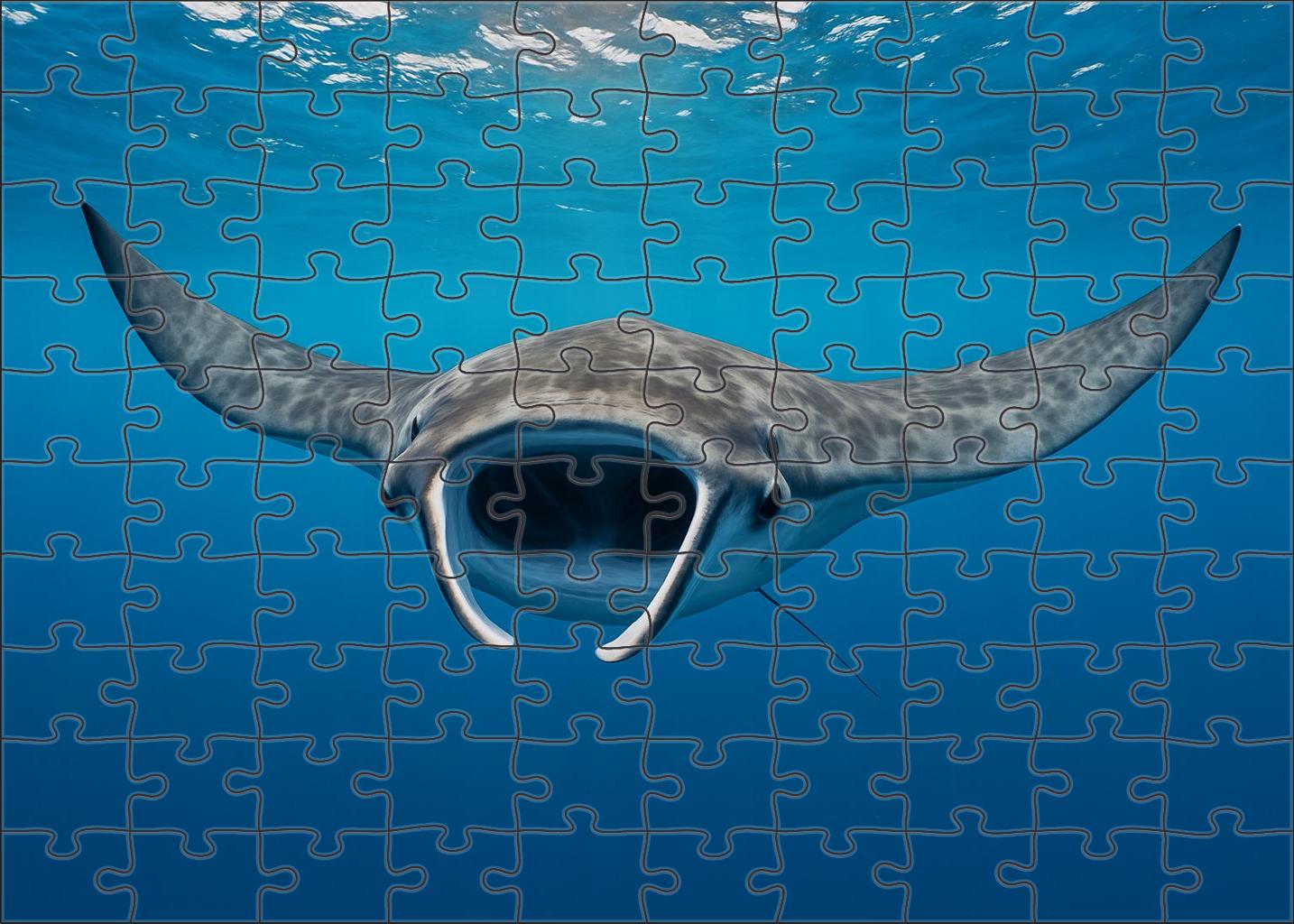 Dusky Manta Calf Gentle Filter-feeder With Expansive Winglike Pectorals 300 Piece Puzzle