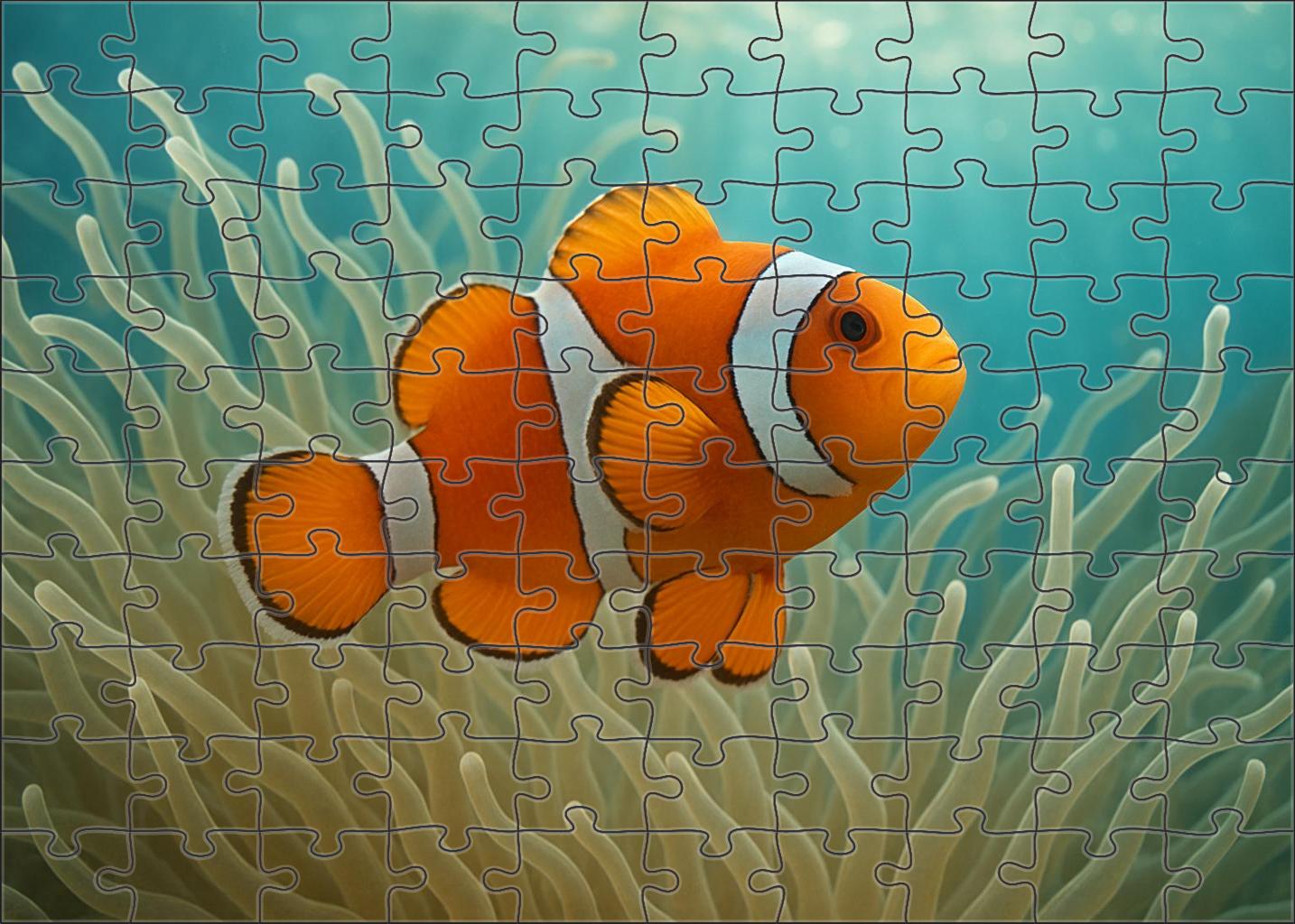 Crystal Anemonefish Small Brightly Colored Fish With Sharp White Bands Easy Puzzles