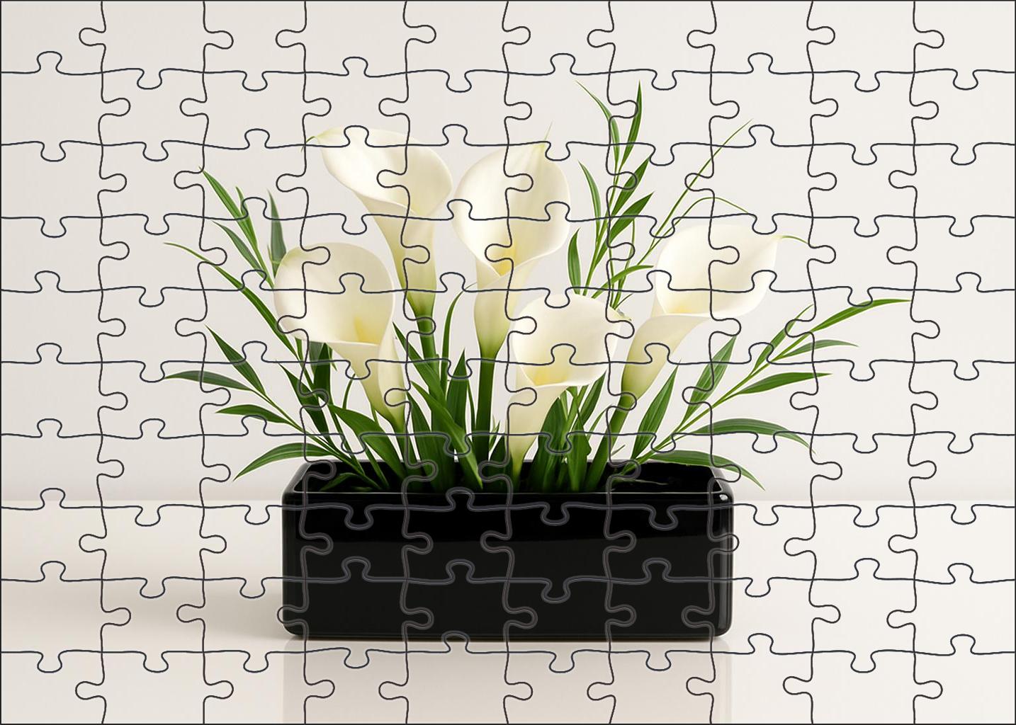 Minimalist Winter Whites Sleek White Blooms In Glossy Black Container Family Puzzles
