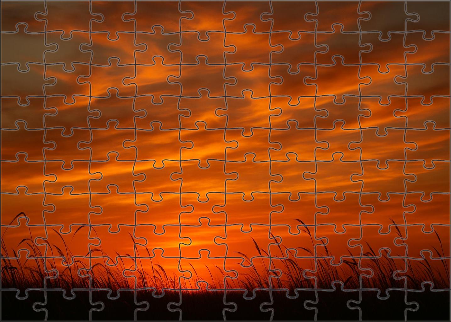 Velvet Marigold Horizon Challenging Puzzles