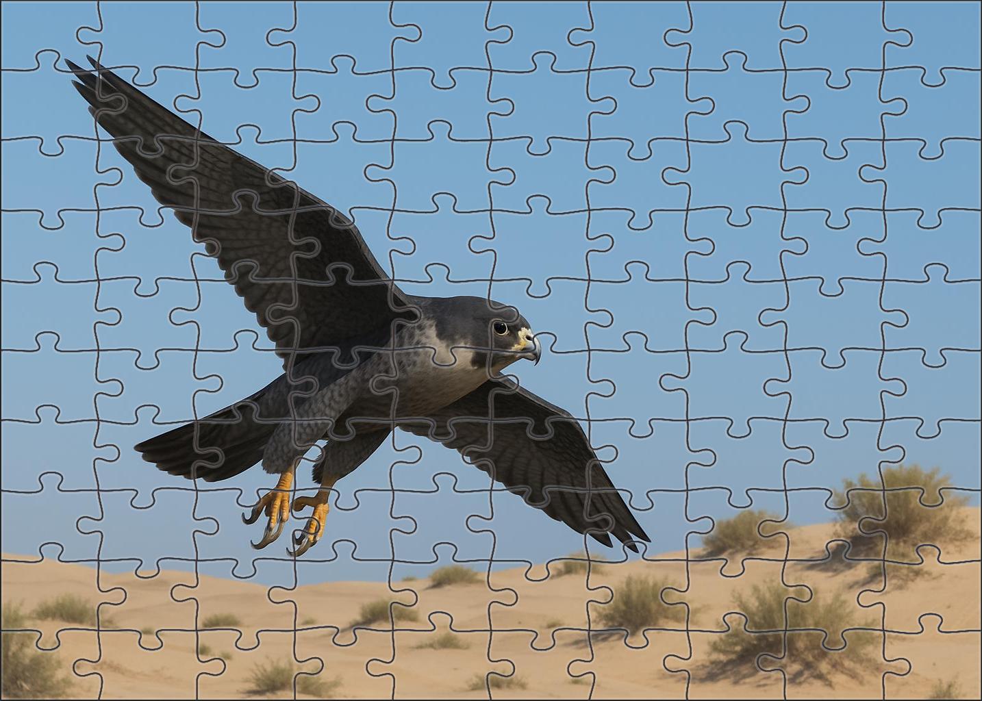 Sooty Falcon The Swift Desert Hunter Easy Puzzles
