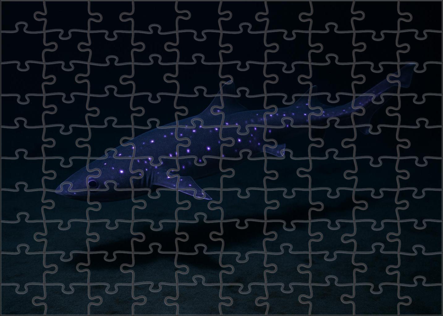 Violet-spotted Lanternshark Small Deepwater Shark With Luminescent Markings Easy Puzzles