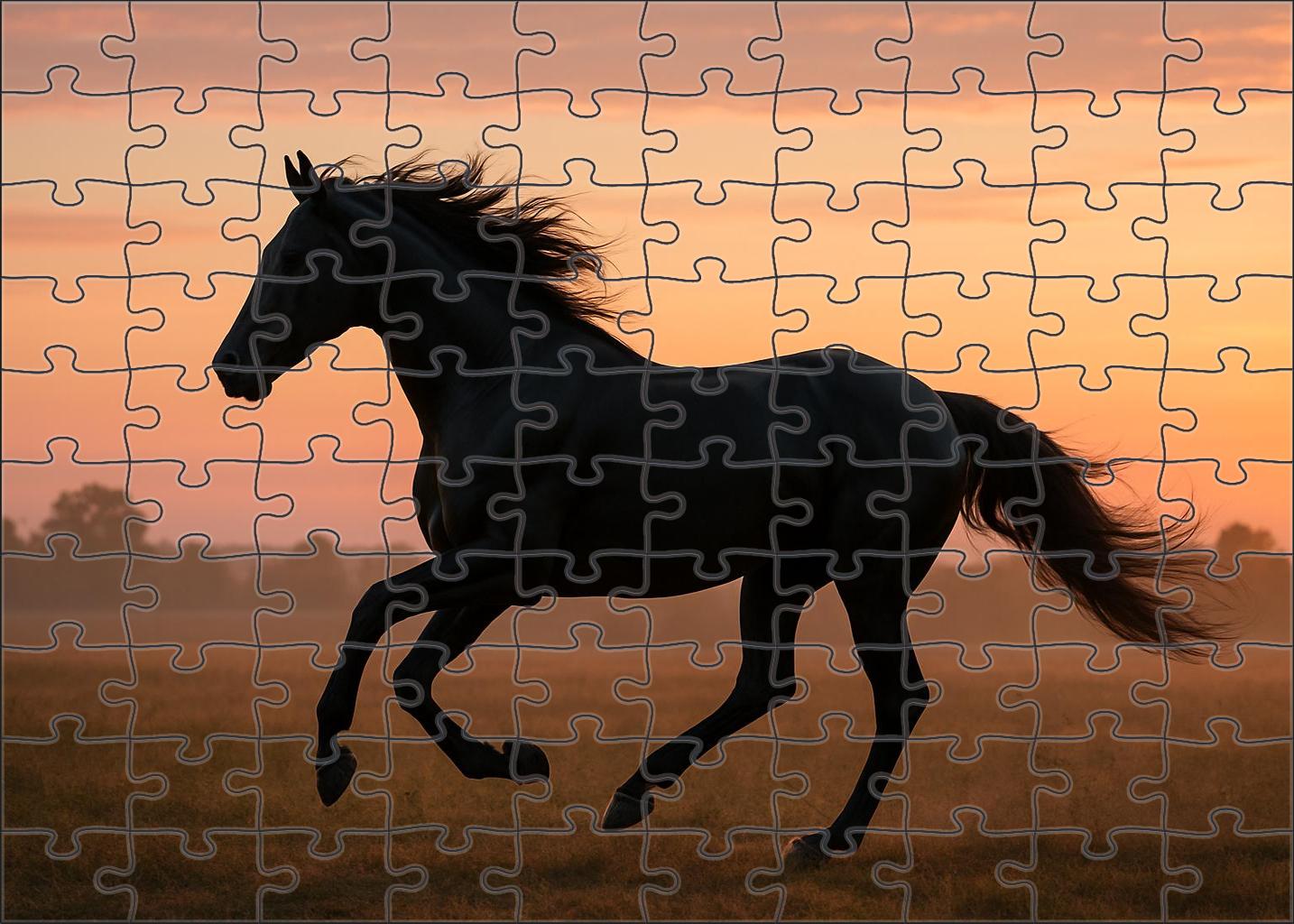 Midnight Ember Sleek Black Thoroughbred With Endurance Potential Challenging Puzzles