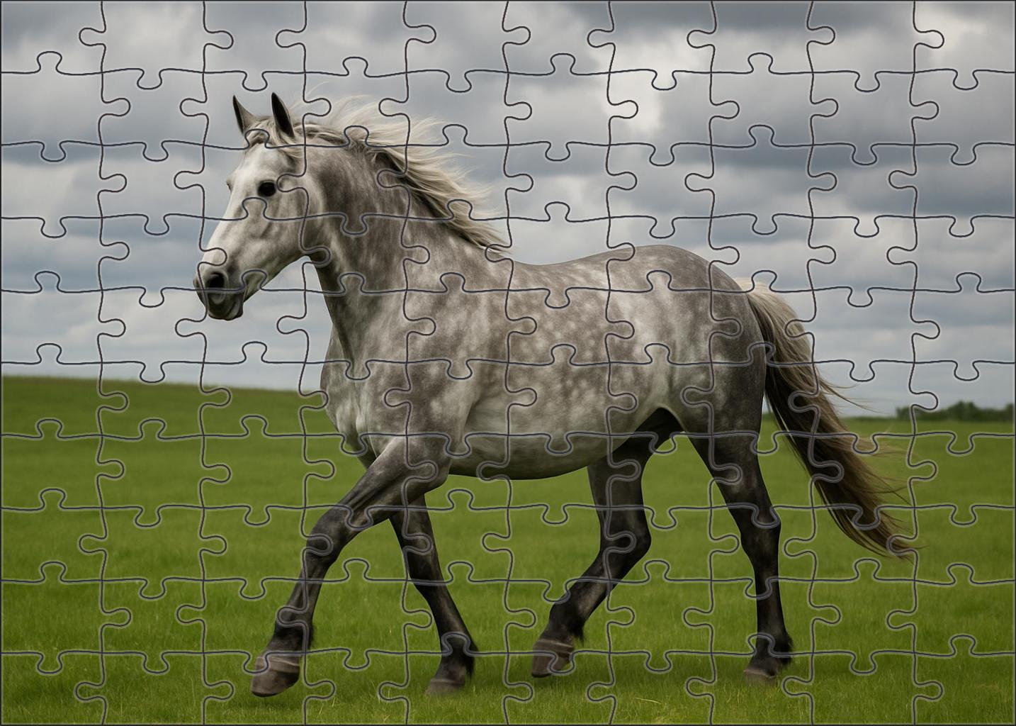 Silver Dapple Sleek Mottled Coat Herding Dog With Steady Gaze Puzzle Collection