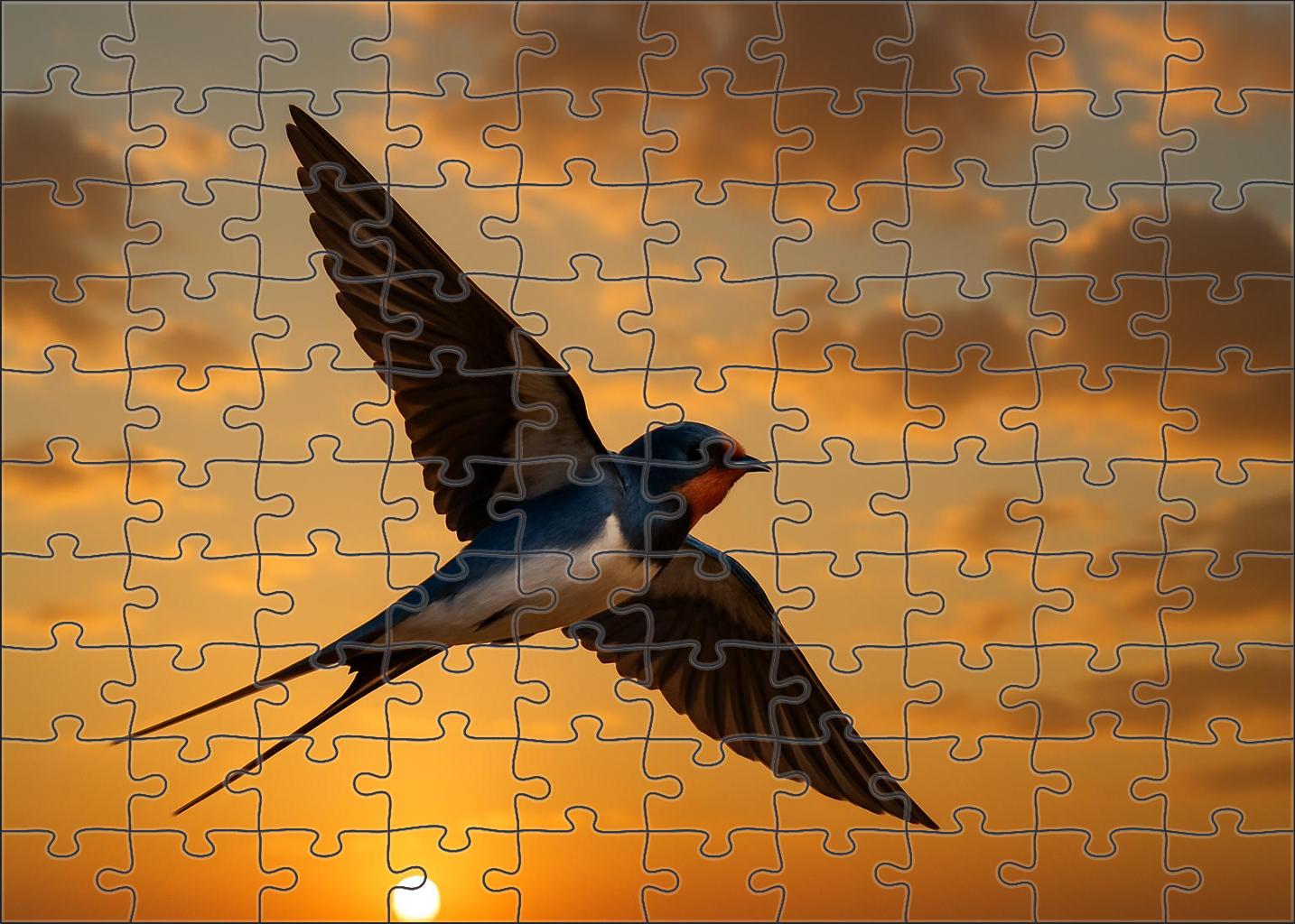 Barn Swallow Agile Sky Dancer Puzzle Fun