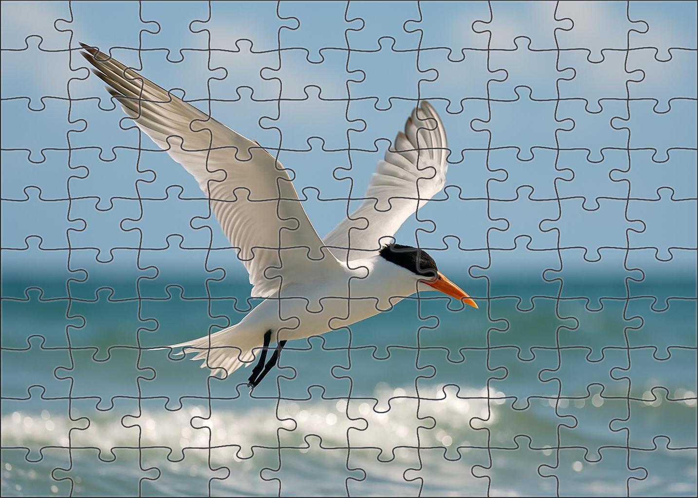 Elegant Tern Coastal Skimmer Custom Jigsaw Puzzle