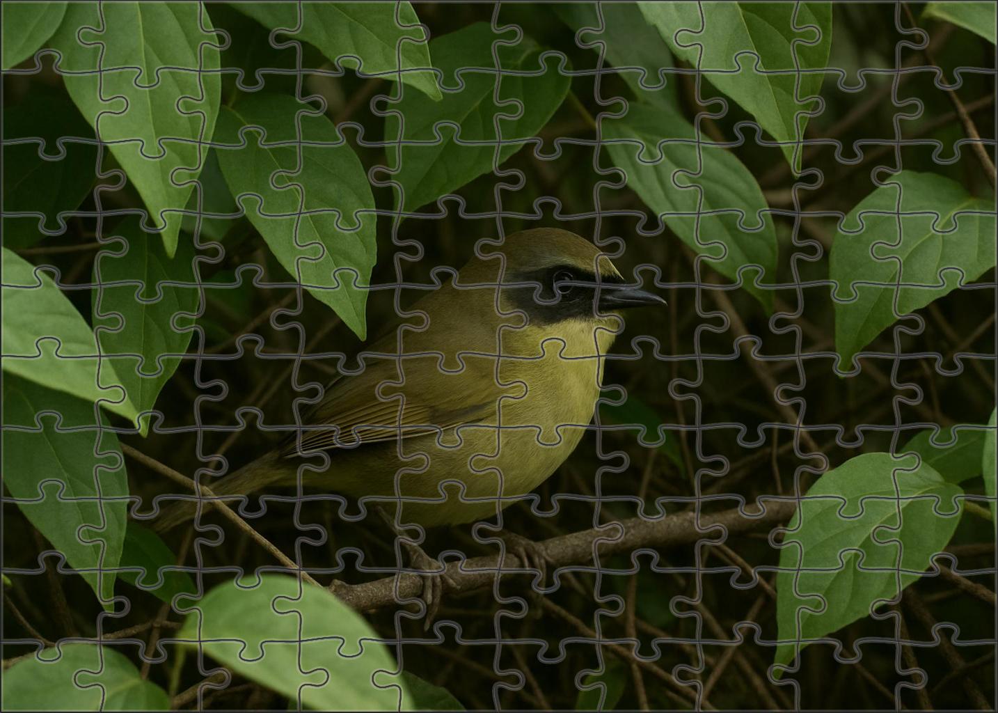 Mourning Warbler Subtle Song In Dense Understory 300 Piece Puzzle