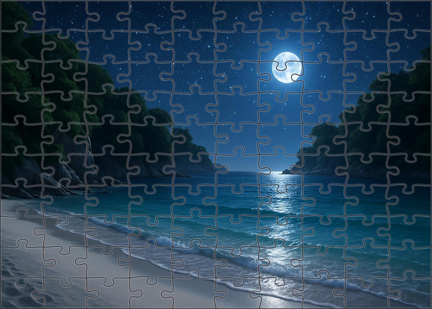 Secluded Moonlit Bay 100 Piece Puzzle
